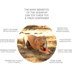 Sodapup Can Toy - Hondenspeelgoed - Limoengroen Voor Honden Van 15-23 Kg Large