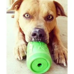 Sodapup Can Toy - Hondenspeelgoed - Limoengroen Voor Honden Van 15-23 Kg Large