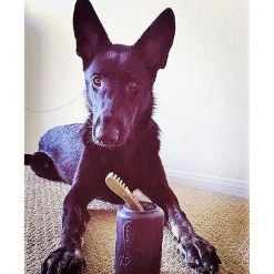 Sodapup Can Toy Magnum - Hondenspeelgoed - Zwart Xl