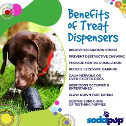 Sodapup Can Toy Magnum - Hondenspeelgoed - Zwart Voor Honden Van 0-15 Kg Medium