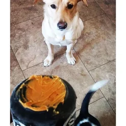 Sodapup Can Toy Magnum - Hondenspeelgoed - Zwart Voor Honden Van 0-15 Kg Medium