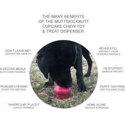 Sodapup Cup Cake Treat Dispenser - Hondenspeelgoed - Roze L