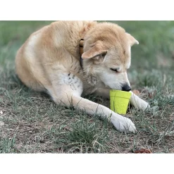 Sodapup Flower Pot - Hondenspeelgoed - 17x11 cm Groen