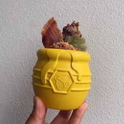 Sodapup Honey Pot - Hondenspeelgoed - Geel Large