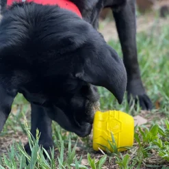 Sodapup Honey Pot - Hondenspeelgoed - Geel Large