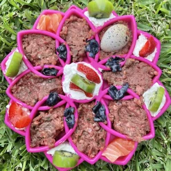 Sodapup Mandala Etray Feeder - Hondenvoerbak - Ø20 cm Roze