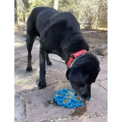 Sodapup Mandala Etray Feeder - Hondenvoerbak - Ø20 cm Blauw
