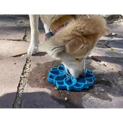 Sodapup Mandala Etray Feeder - Hondenvoerbak - Ø20 cm Blauw