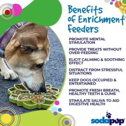 Sodapup Mandala Etray Feeder - Hondenvoerbak - Ø20 cm Groen