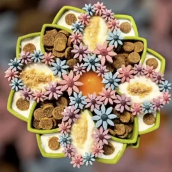 Sodapup Mandala Etray Feeder - Hondenvoerbak - Ø20 cm Groen