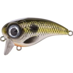 Spro Fat Iris Hardlure Shad 5cm 10g - Aas -