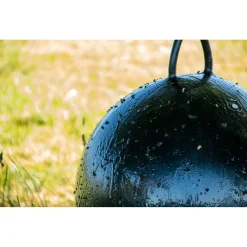 Sticky-Trap Bal - Dazenvallenlijm - Ø60 cm