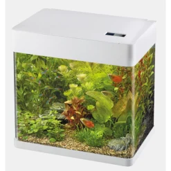 Superfish Aquarium Aqua 20 Led Panorama - Aquaria - 32x23x35.5 cm Wit 20 Liter