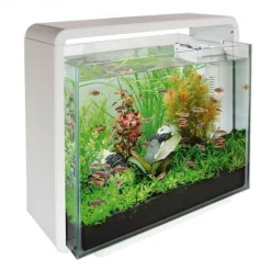 Superfish Aquarium Home 40 Led 47x25x42.5 cm - Aquaria