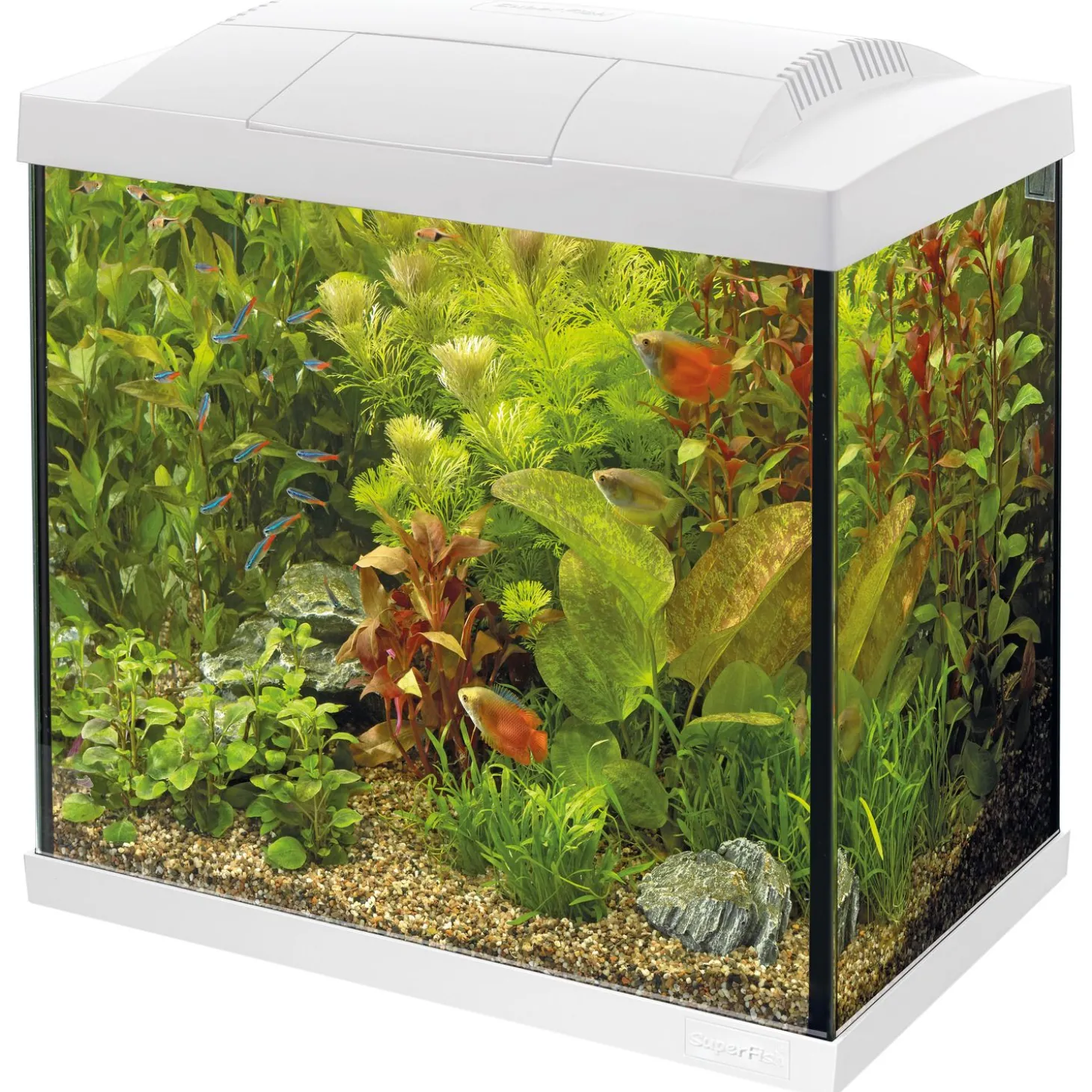 Superfish Aquarium Start 50 Tropical Kit Retro Led 39 l - Aquaria