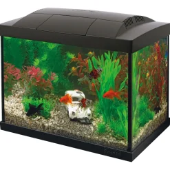 Superfish Aquarium Start 20 Goldfish Kit Led 16 l - Aquaria