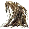 Superfish Bonsai Root - Aquarium - Ornament - Medium