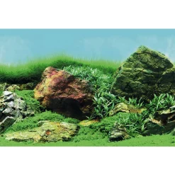 Superfish Deco Poster - Aquarium - Ornament