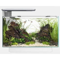 Superfish Quadro 40 Multi Colour - Aquaria