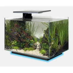 Superfish Quadro 40 Multi Colour - Aquaria