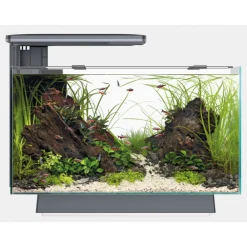 Superfish Quadro 40 Multi Colour - Aquaria