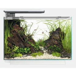 Superfish Quadro 70 Pro - Aquaria