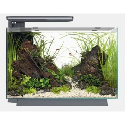 Superfish Quadro 70 Pro - Aquaria