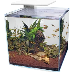 Superfish Qubiq 60 Pro 40x40x50.8 cm - Aquaria
