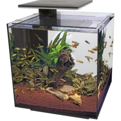 Superfish Qubiq 60 Pro 40x40x50.8 cm - Aquaria