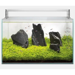 Superfish Scaper 140 - Aquaria - 77x45x40 cm Transparant