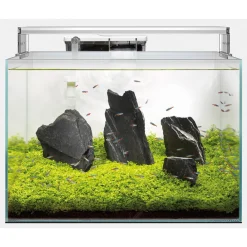 Superfish Scaper 60 - Aquaria - 50x35x35 cm 60 l Transparant