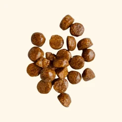 Teds Puppy Insecten&Wortel - Hondenvoer