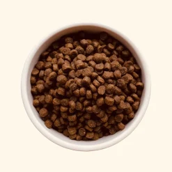 Teds Puppy Insecten&Wortel - Hondenvoer