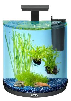 Tetra Aquarium Explorer Line 30 - Aquaria