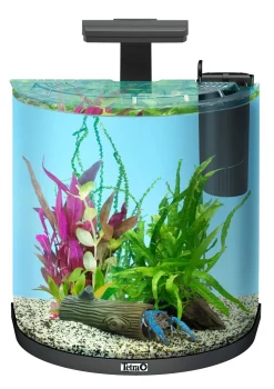Tetra Aquarium Explorer Line 30 - Aquaria