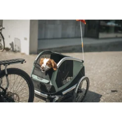 Thule Fietskar Bexey Groen&Zwart&Aluminium - Hondenfietskar