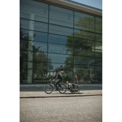 Thule Fietskar Bexey Groen&Zwart&Aluminium - Hondenfietskar