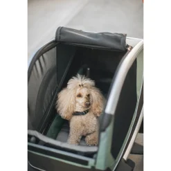 Thule Fietskar Bexey Groen&Zwart&Aluminium - Hondenfietskar