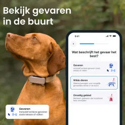 Tractive Gps Tracker Dog 6 - Activiteitstracker - Bruin