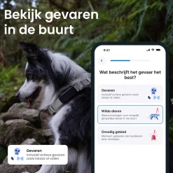 Tractive Gps Tracker Dog 6 - Activiteitstracker - Zwart