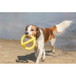 Trixie Aqua Toy Trekspeeltje - Hondenspeelgoed - Ø17 cm Assorti