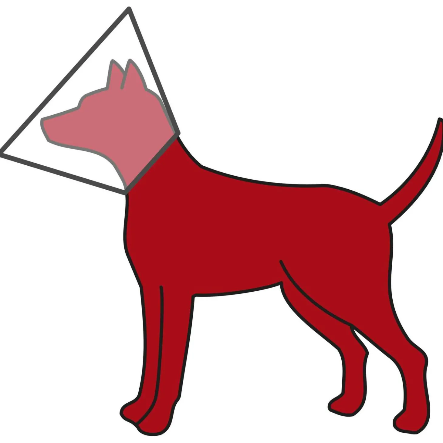 Trixie Beschermkraag Kunststof - Beschermnekkraag - 22-25x10 Cm Xs/S