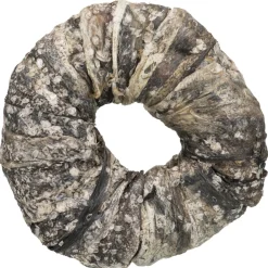 Trixie Denta Fun Fish Chewing Ring - Hondensnacks - Vis Ø10 cm 110 g