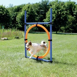 Trixie Dog Activity Agility Ring - Hondensport - 115x65 cm Blauw Oranje