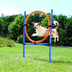Trixie Dog Activity Agility Ring - Hondensport - 115x65 cm Blauw Oranje