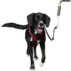 Trixie Fiets Set - Hondenfiets-accessoires -