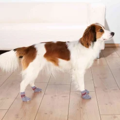 Trixie Hondensokken Grijs - Hondenpootverzorging