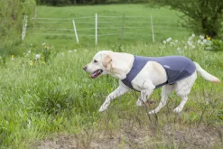 Trixie Insect Shield Vest Grijs - Anti vlooien en tekenmiddel