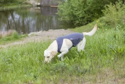 Trixie Insect Shield Vest Grijs - Anti vlooien en tekenmiddel