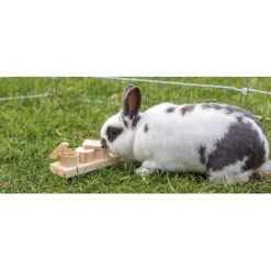 Trixie Intelligentiespel Snack Cups - Speelgoed - 15x6x4.5 cm